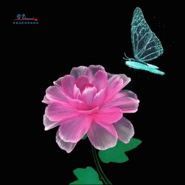 雷色光电丨智联视频投影灯带来全新体验!(图9) 雷色光电丨智联视频投影灯带来全新体验!(图9)