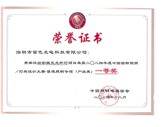 炫彩激光光纤灯——一等奖