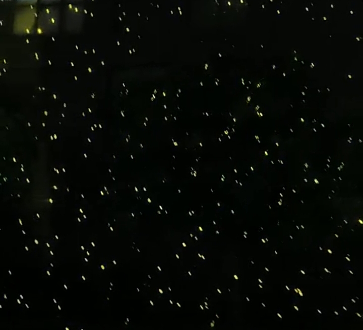 热烈欢迎广东职业技术学院光环境产业学院一行到雷色光电参观学习!(图9) 热烈欢迎广东职业技术学院光环境产业学院一行到雷色光电参观学习!(图9)