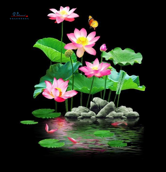雷色光电|LED·梦幻水影灯/LS-SY100~LS-SY600(图1) 雷色光电|LED·梦幻水影灯/LS-SY100~LS-SY600(图1)