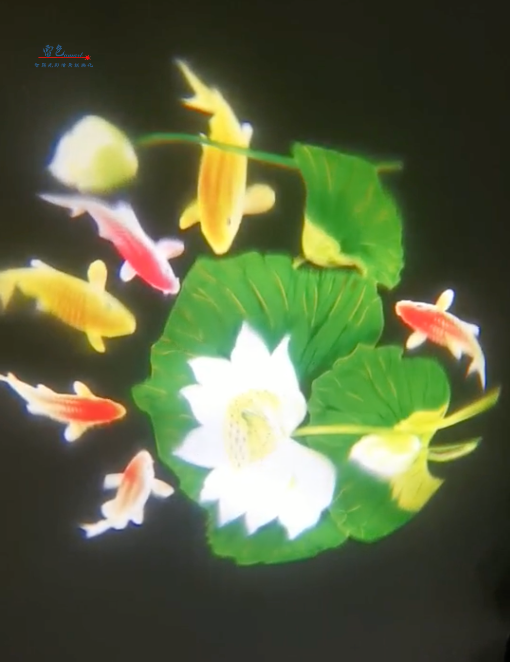 雷色光电|LED·梦幻水影灯/LS-SY100~LS-SY600(图7) 雷色光电|LED·梦幻水影灯/LS-SY100~LS-SY600(图7)