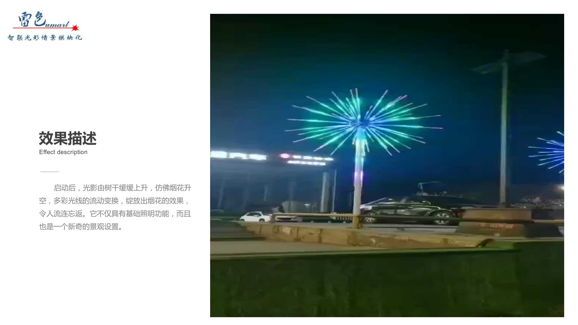 璀璨烟花(图4)