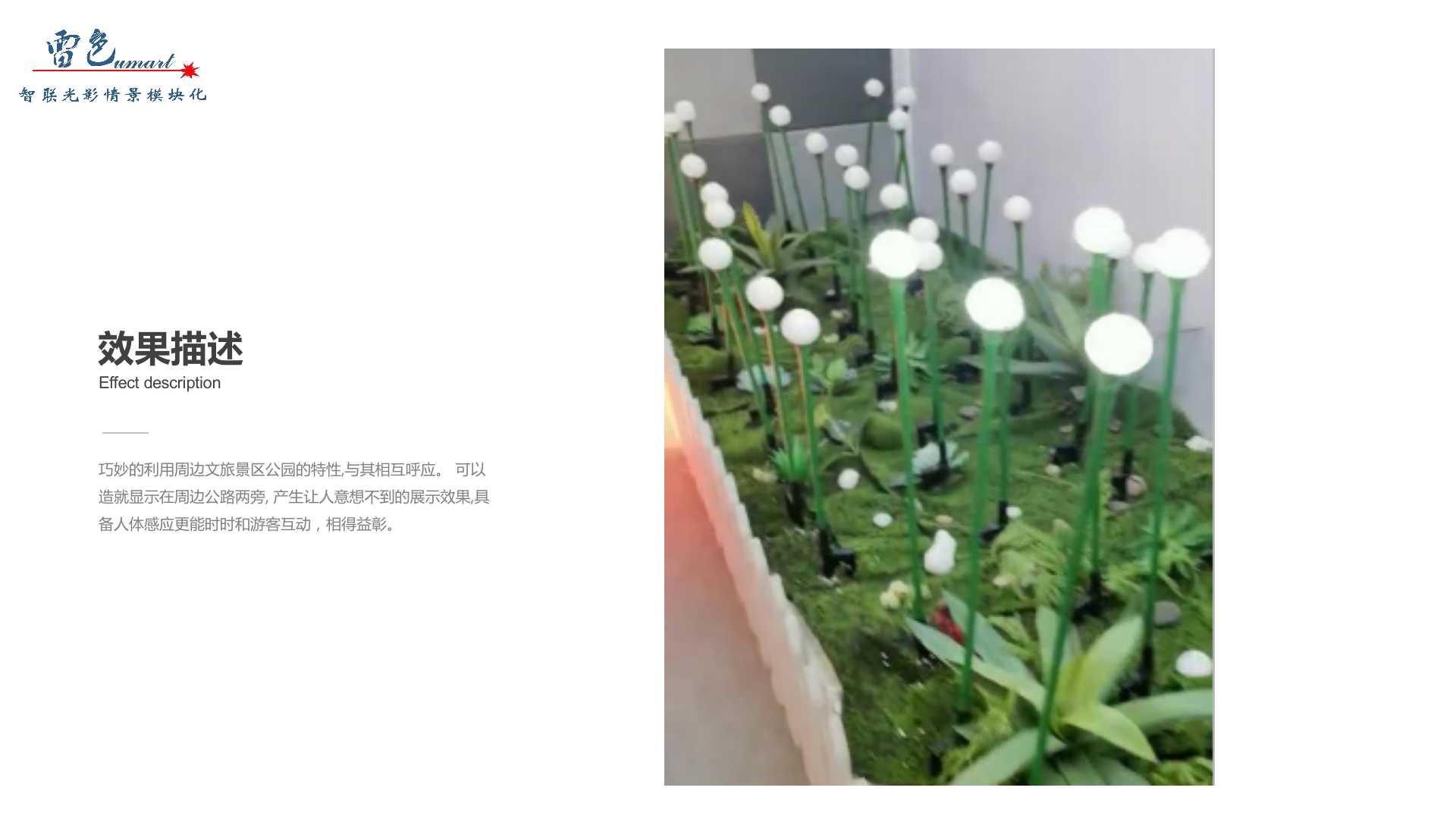 晶光闪亮(图4)