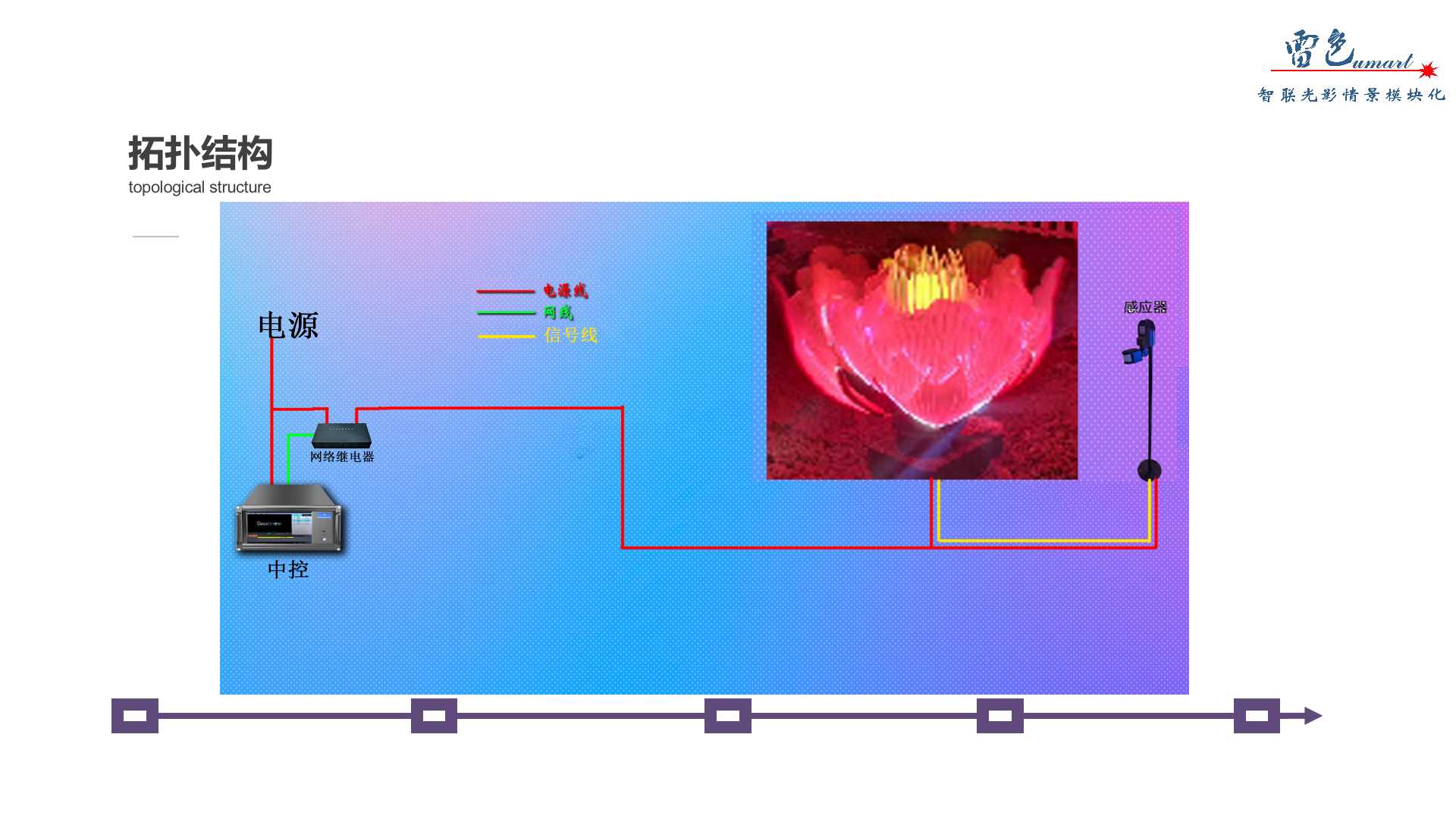 鲜花怒放(图6)